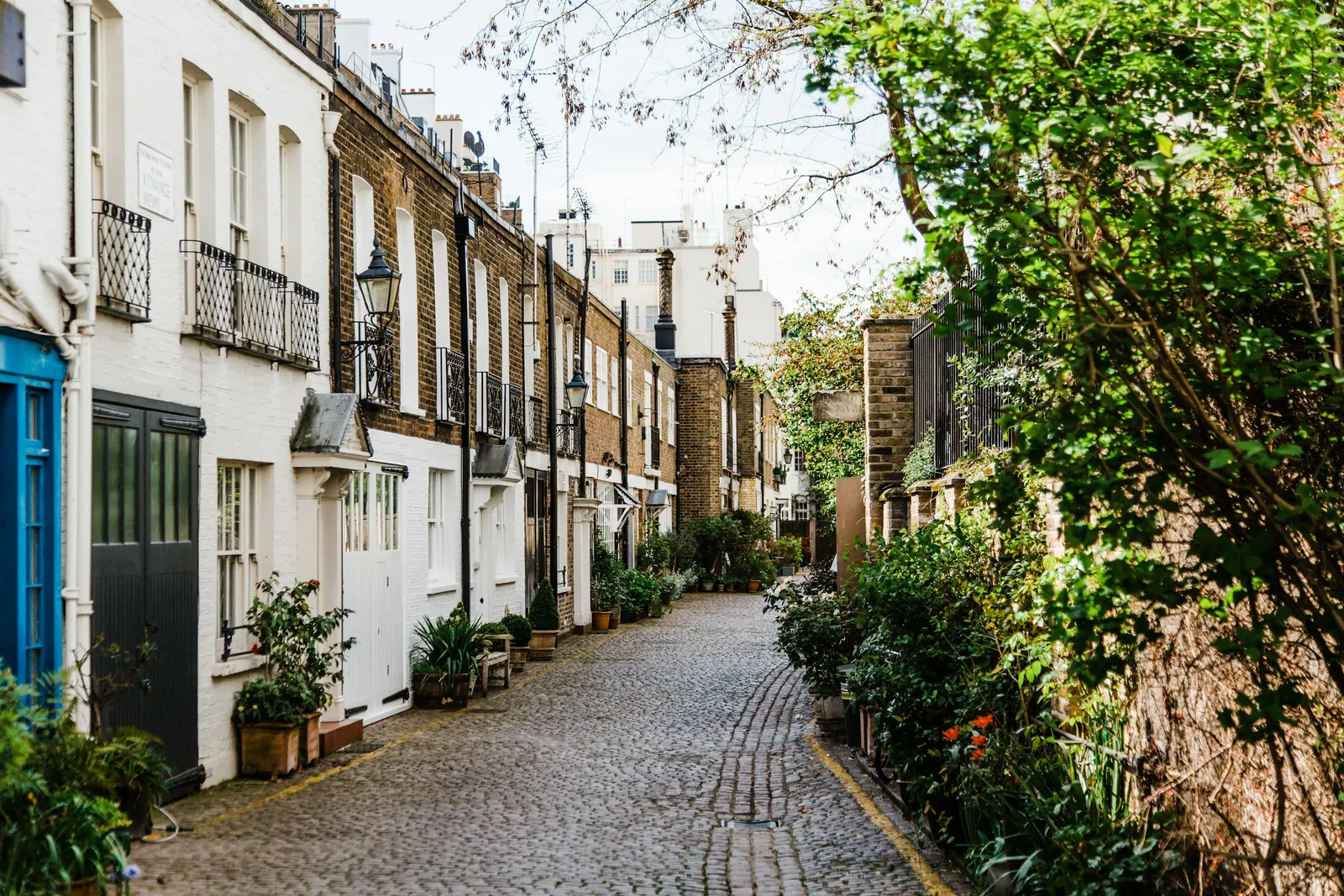 Cobbled mews of converted coach houses with planted doorsteps, small London houses whose layouts are easiest to record by measuring