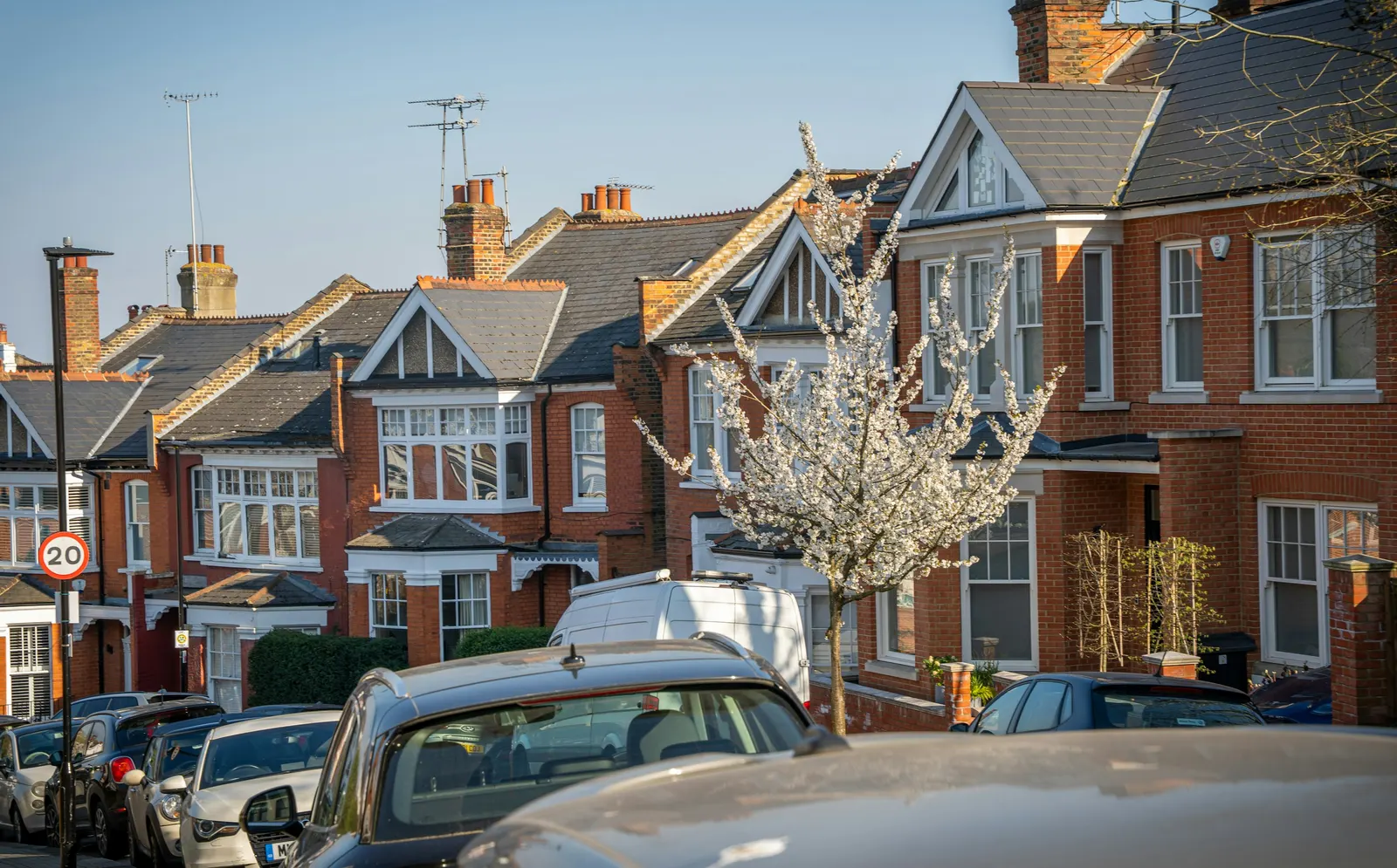 Edwardian gabled houses on a residential street with spring blossom