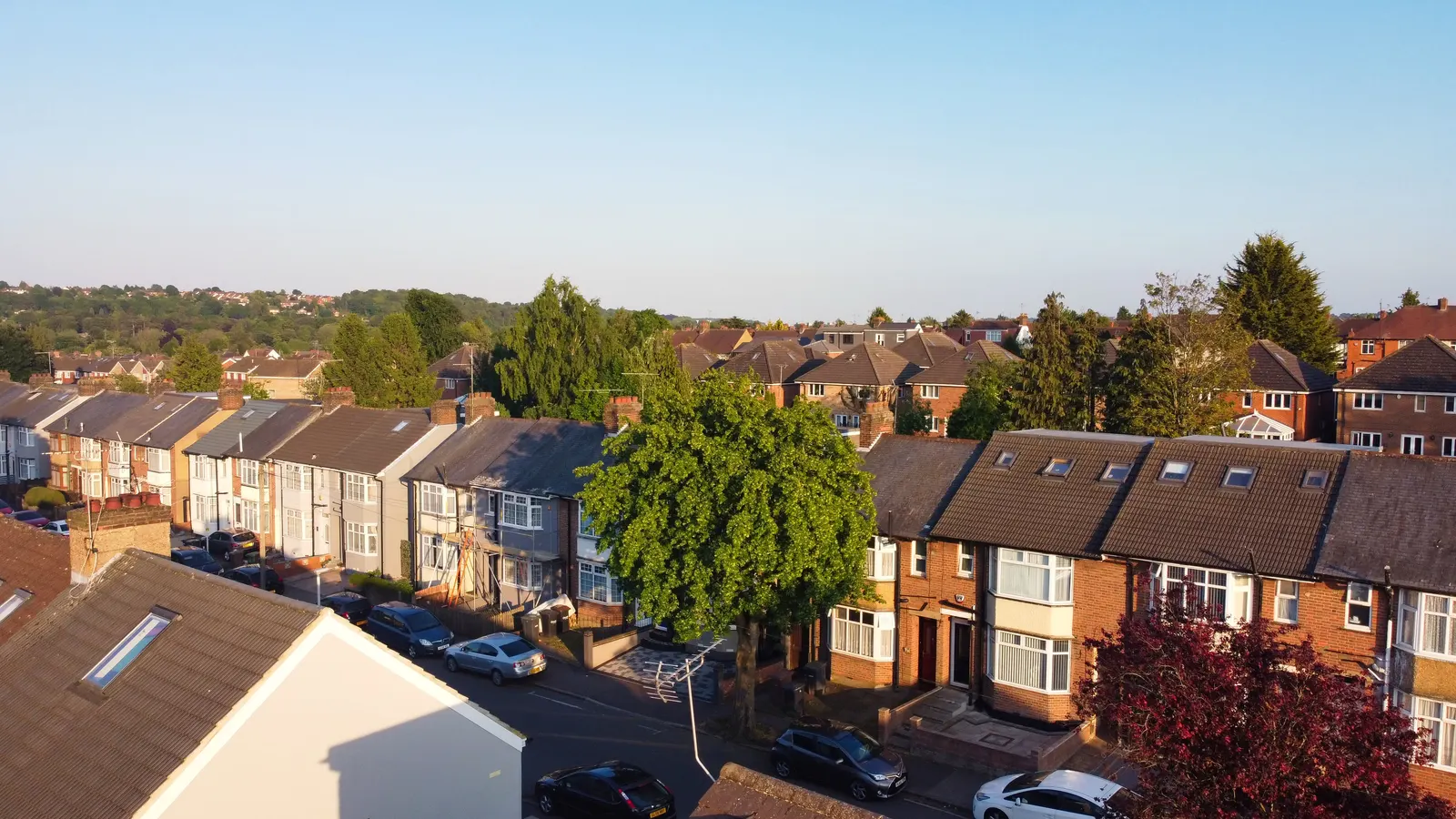 Suburban terraces and trees seen from above in evening light